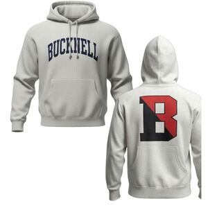 Champion Reverse Weave Bucknell University Hoodie Gray Large Big B Logo Rare